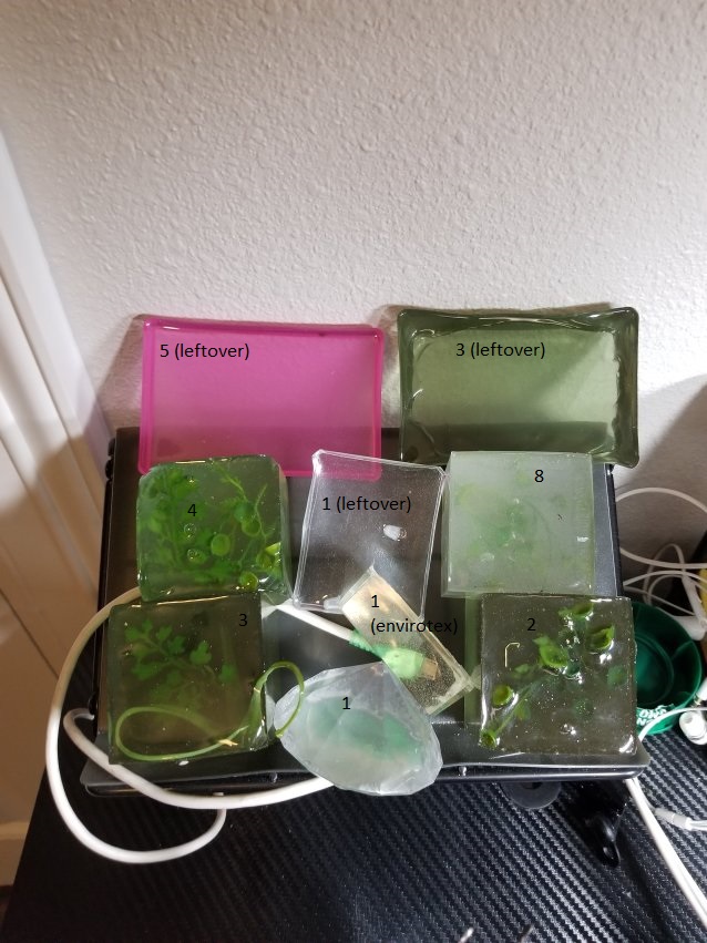 20190208_0910427144643665948318799